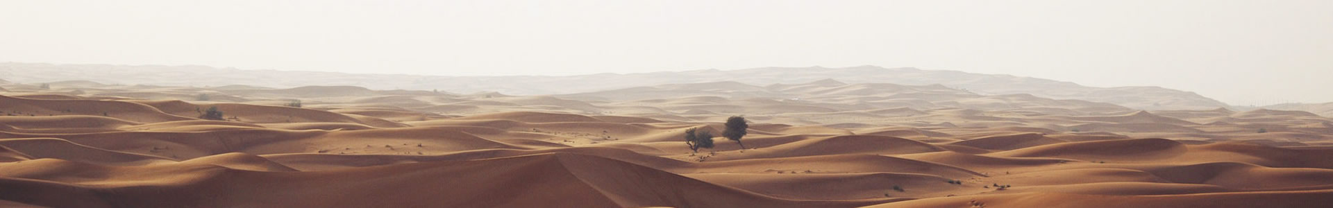 ϴƼ޹˾
